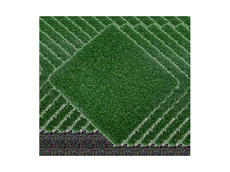 Artificial Turf Carpet