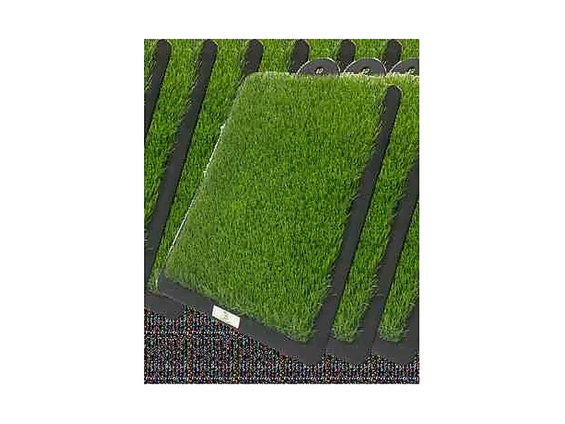 Rubber-Base Swing Path Mat